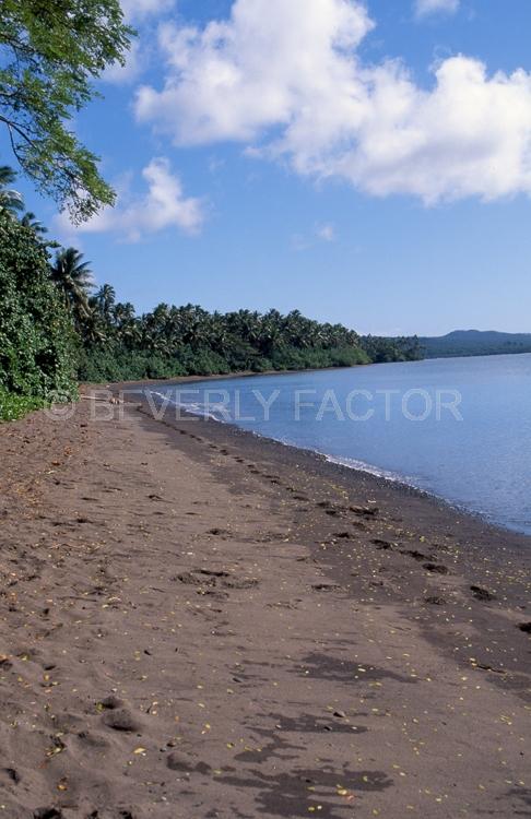 Island;fiji;blue water;sky;palm trees;sand;shore line